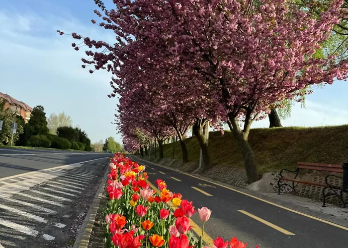 Goldvilla זלקרוס