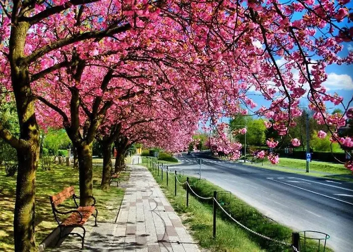 Goldvilla זלקרוס